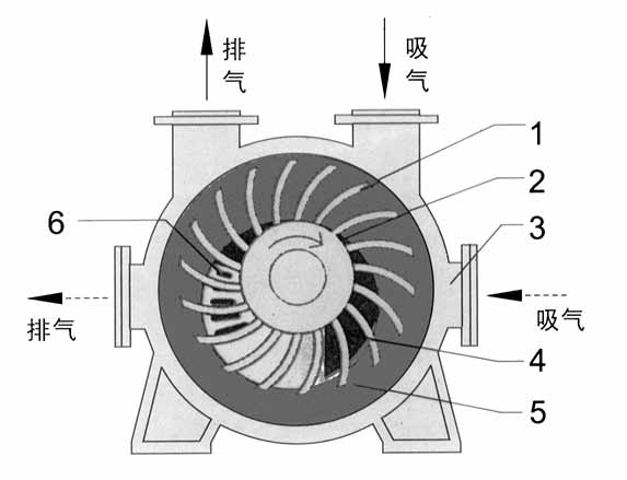 2BE1水环式MK在线(中国)结构图